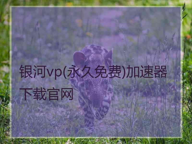 银河vp(永久免费)加速器下载官网