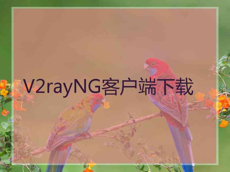 V2rayNG客户端下载