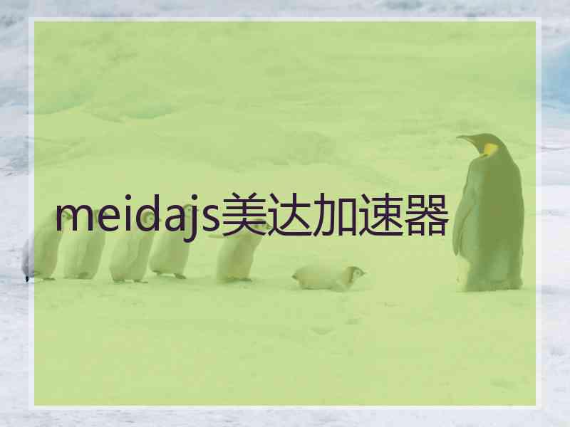 meidajs美达加速器