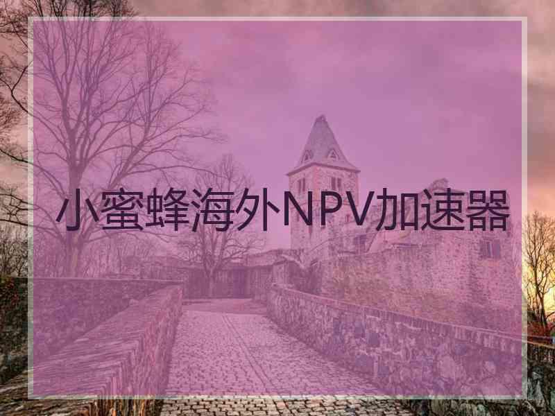 小蜜蜂海外NPV加速器