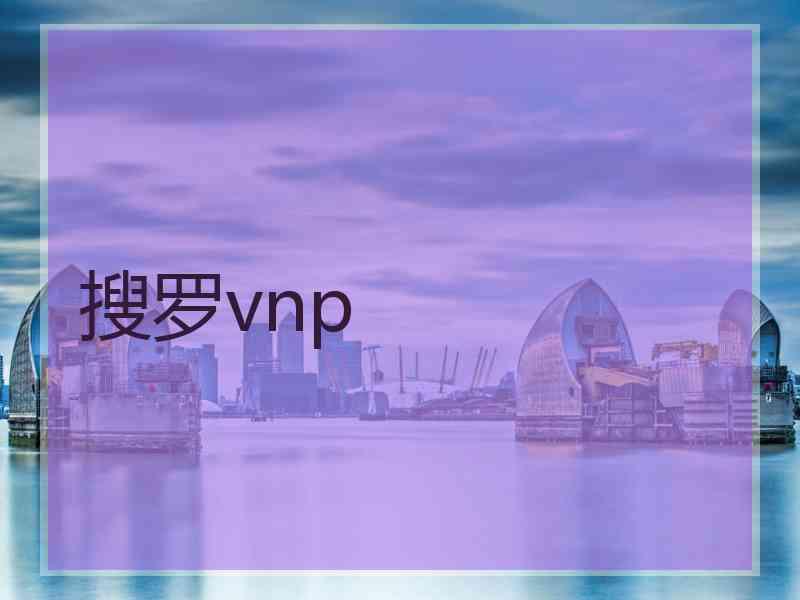 搜罗vnp