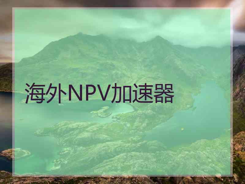 海外NPV加速器