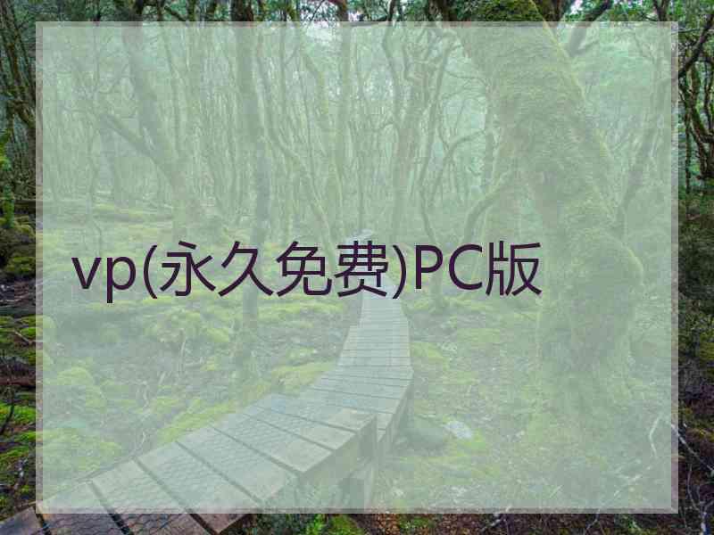 vp(永久免费)PC版