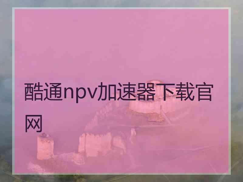 酷通npv加速器下载官网