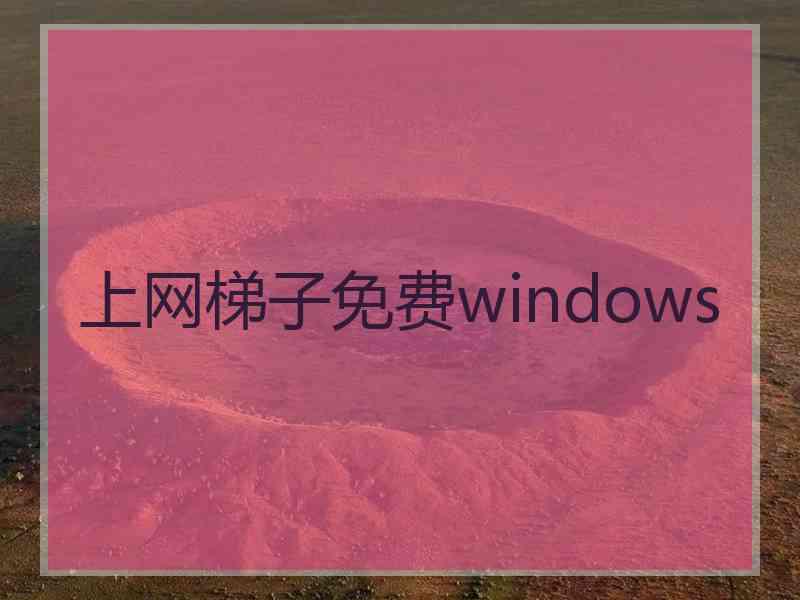 上网梯子免费windows