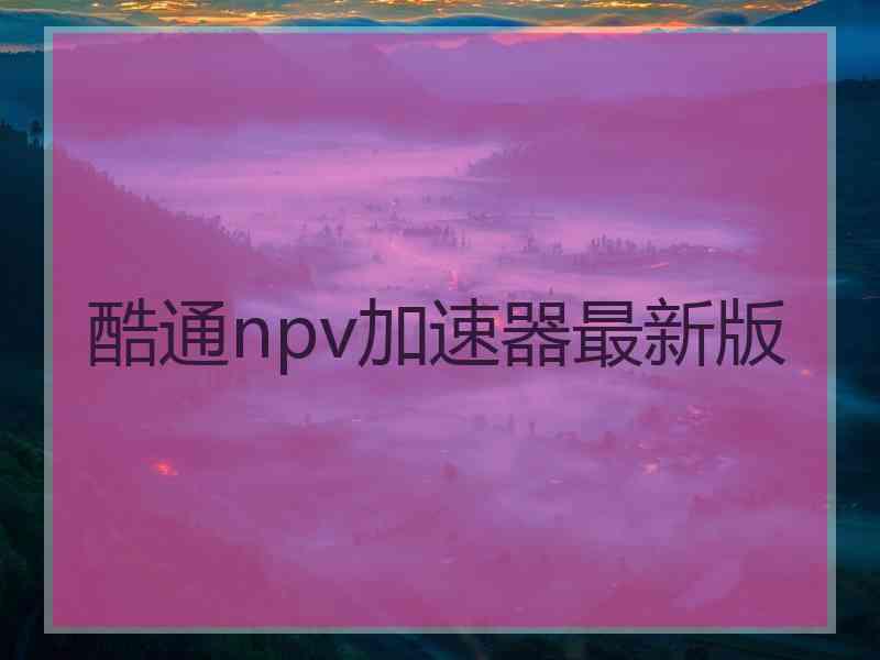 酷通npv加速器最新版