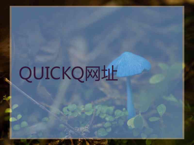 QUICKQ网址