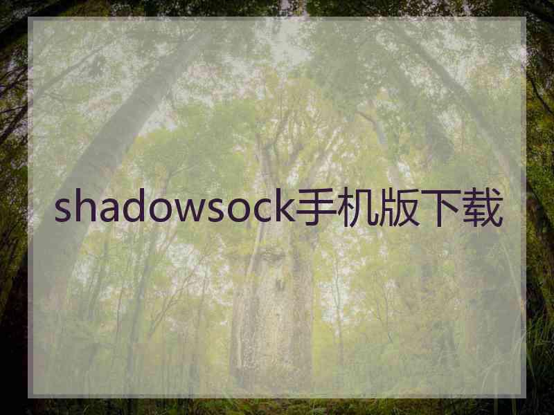 shadowsock手机版下载