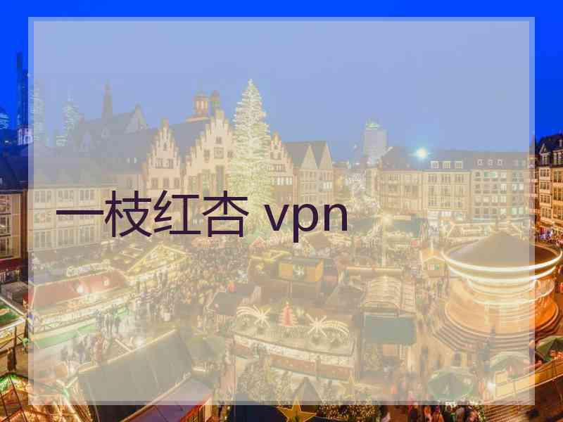 一枝红杏 vpn