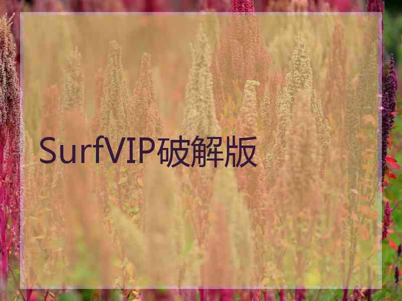 SurfVIP破解版