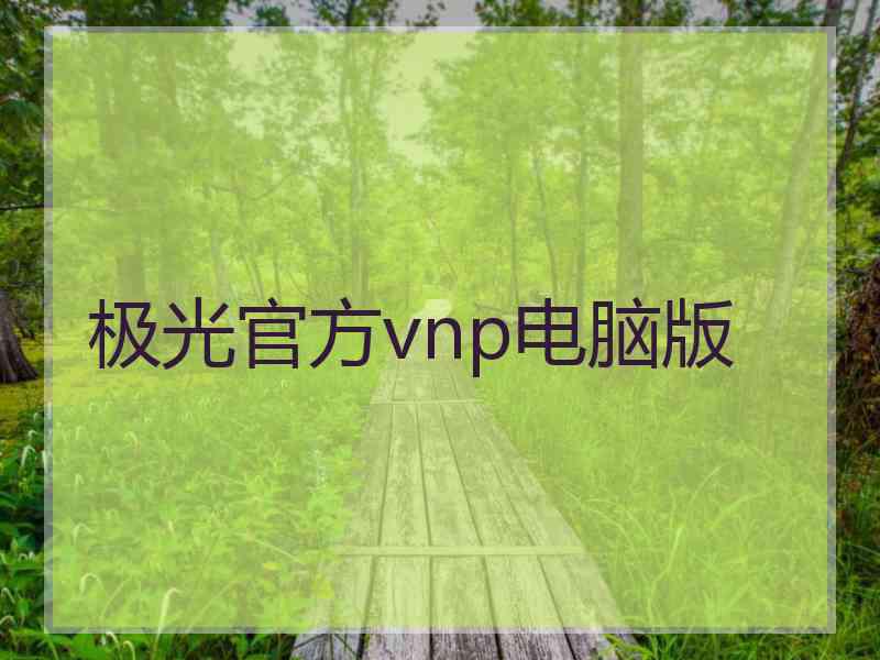 极光官方vnp电脑版