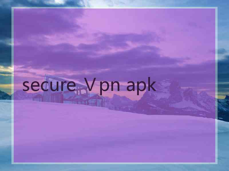 secure Ⅴpn apk