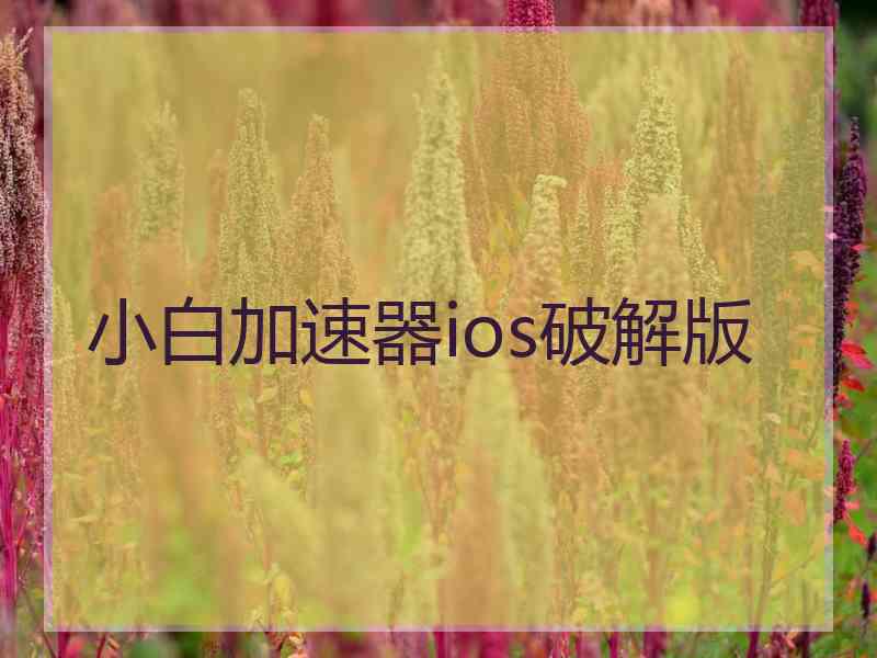 小白加速器ios破解版