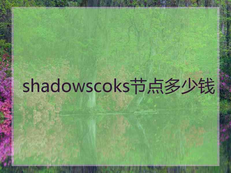 shadowscoks节点多少钱