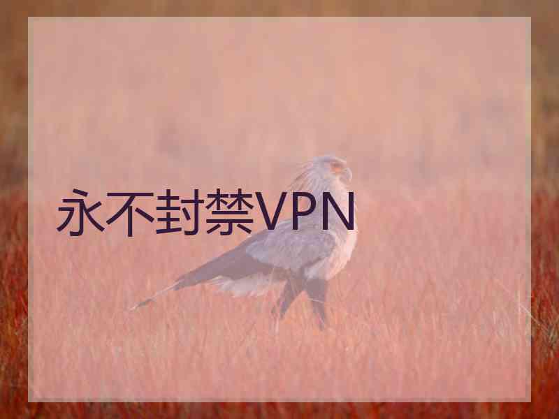 永不封禁VPN