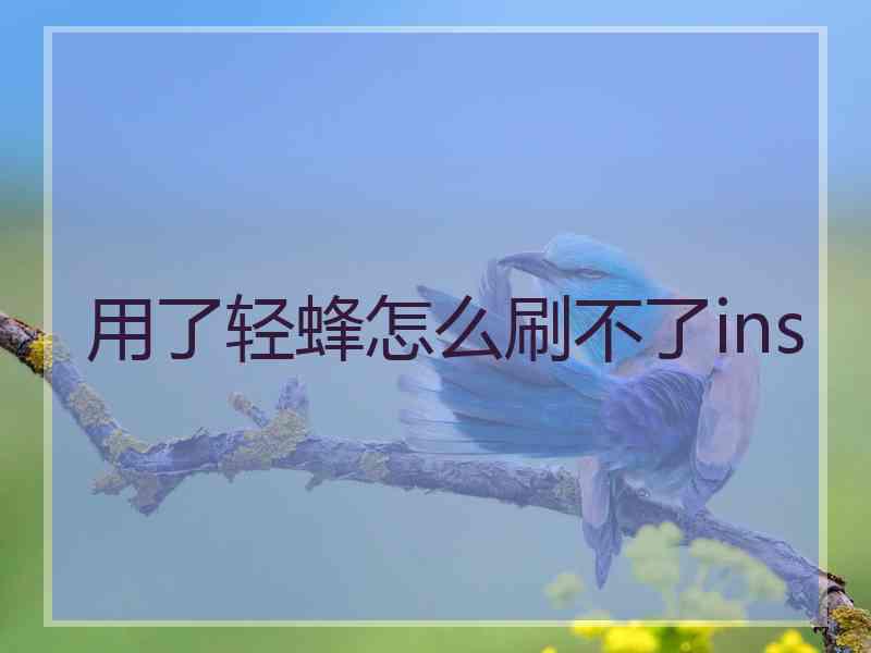 用了轻蜂怎么刷不了ins