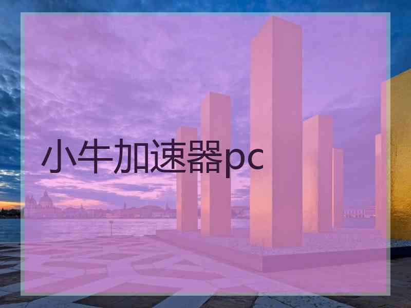 小牛加速器pc