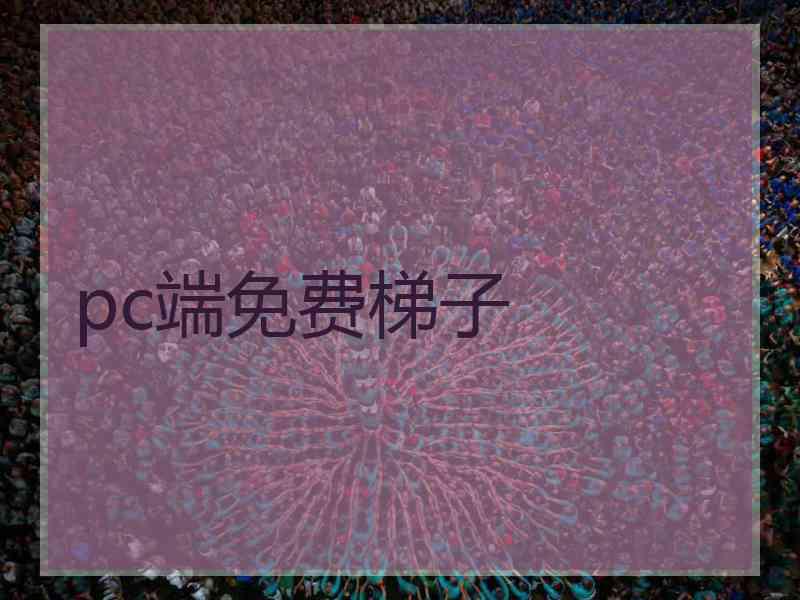 pc端免费梯子