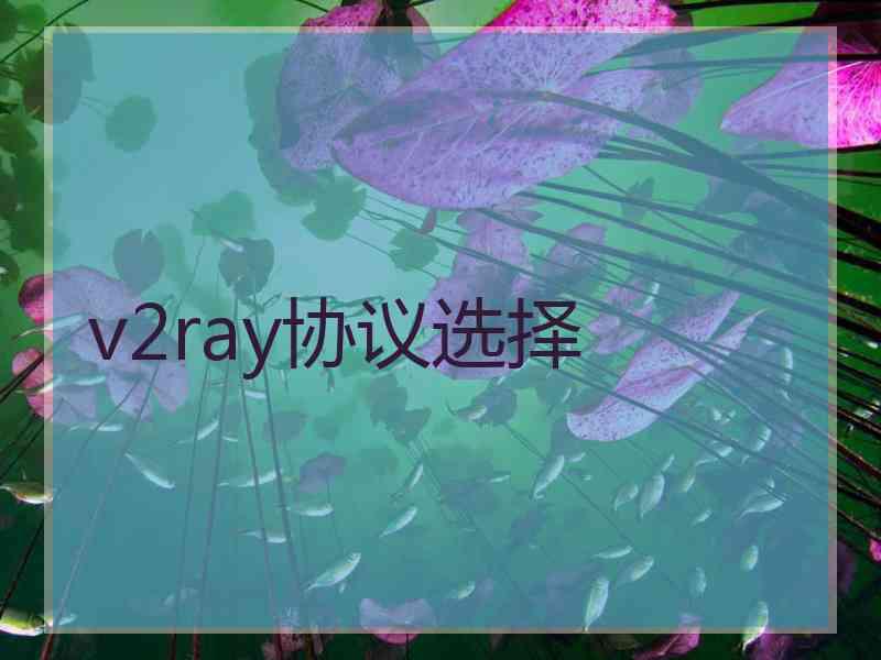 v2ray协议选择