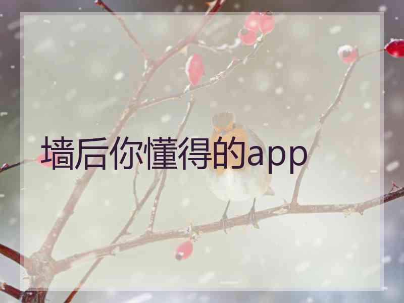 墙后你懂得的app