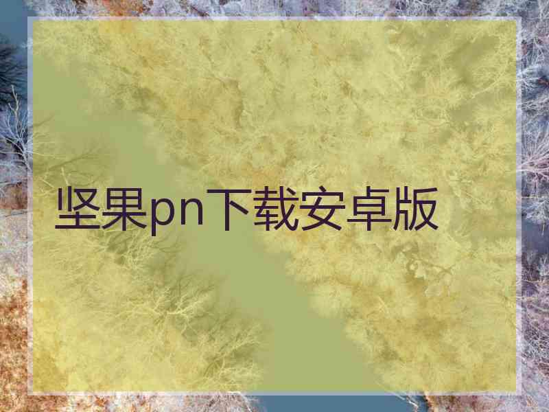 坚果pn下载安卓版