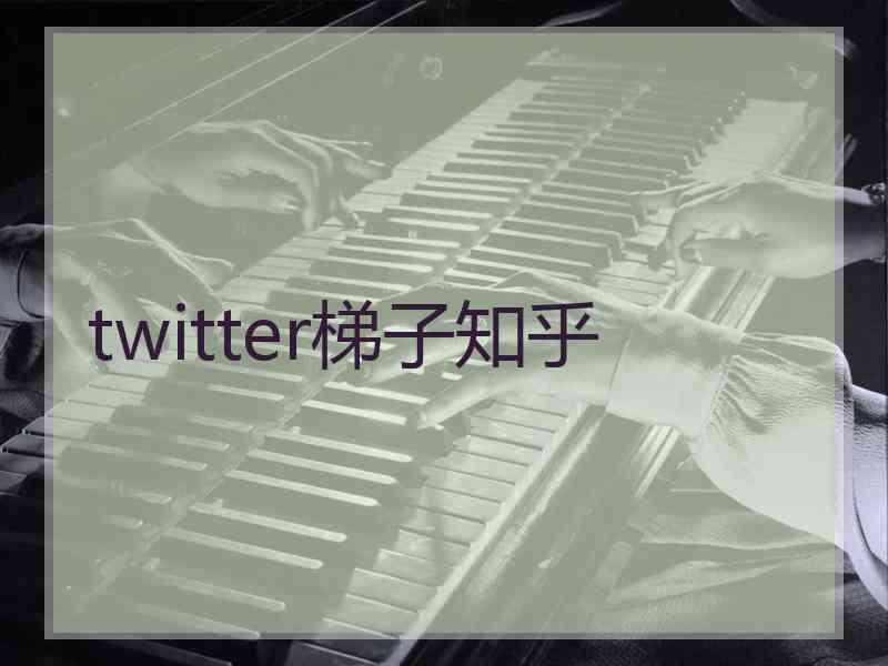 twitter梯子知乎