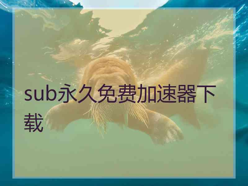 sub永久免费加速器下载