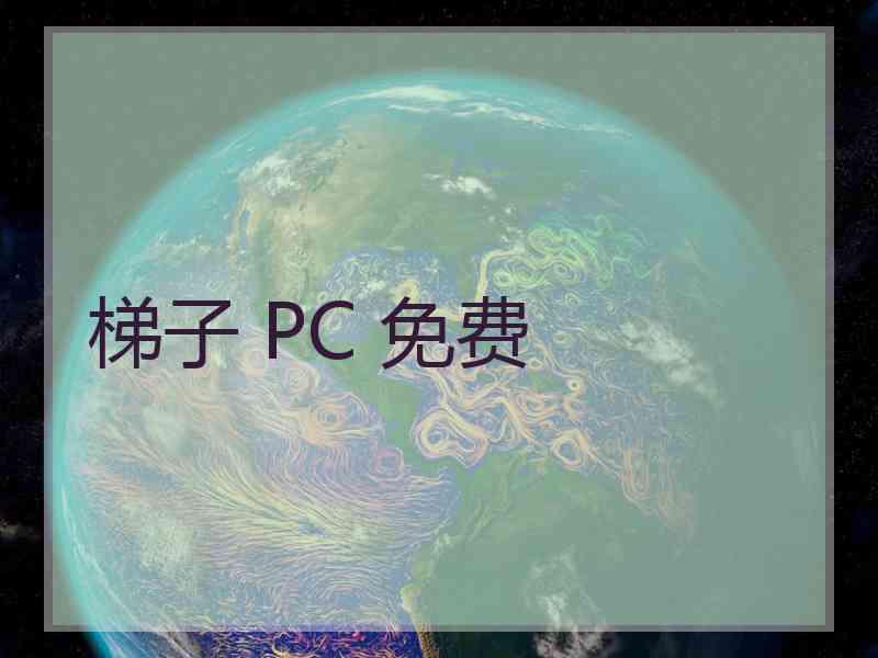 梯子 PC 免费