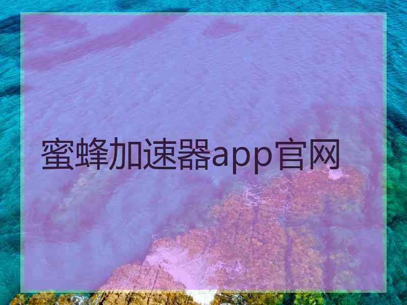 蜜蜂加速器app官网