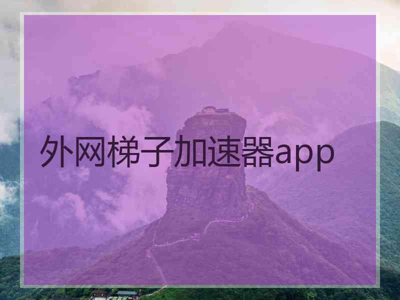 外网梯子加速器app