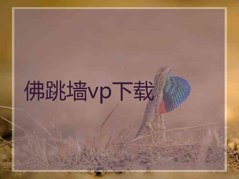 佛跳墙vp下载