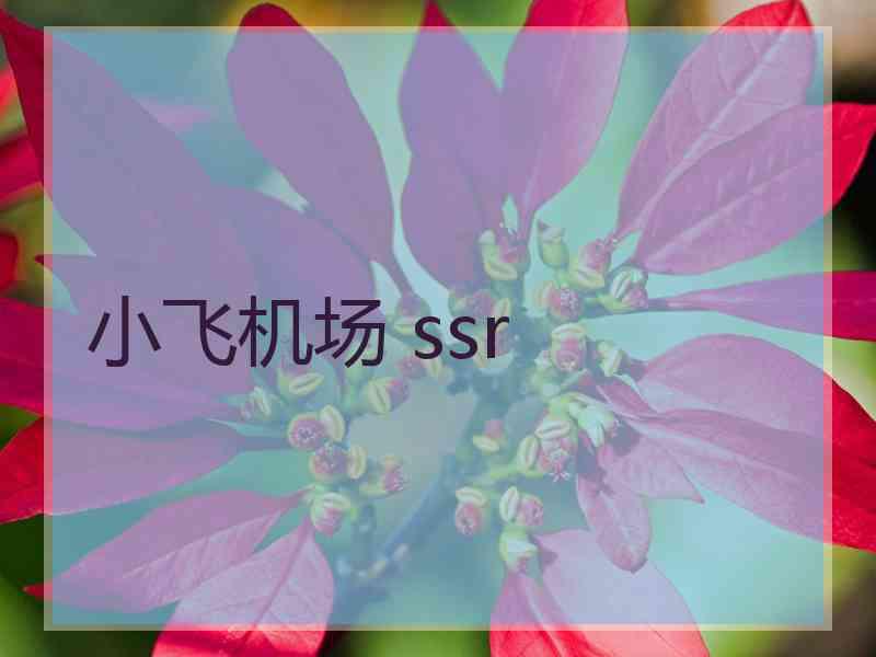 小飞机场 ssr