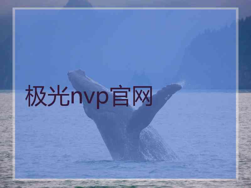 极光nvp官网