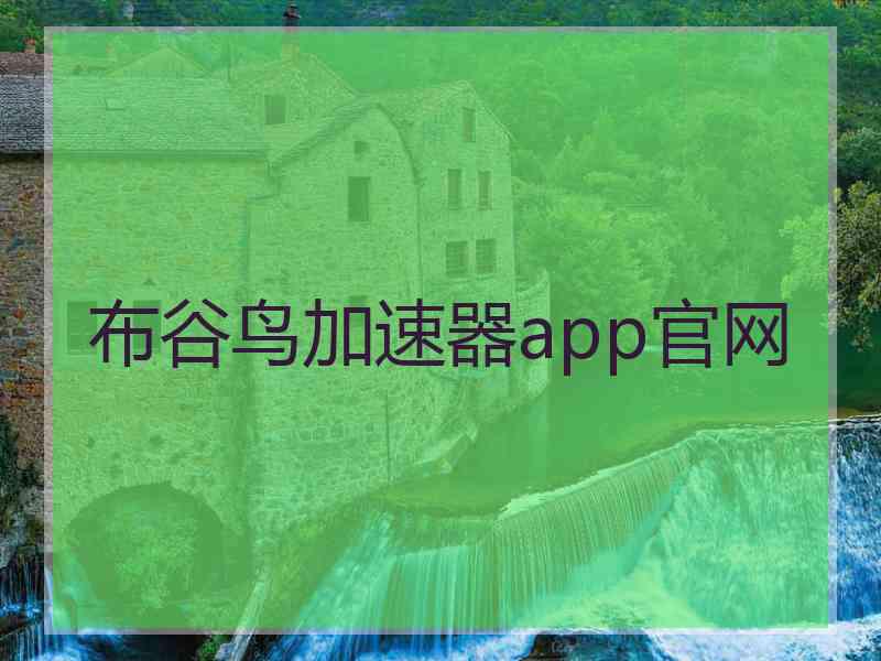 布谷鸟加速器app官网