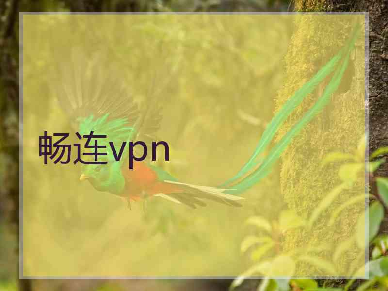 畅连vpn