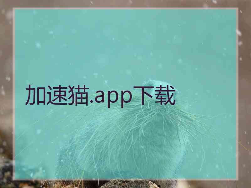 加速猫.app下载