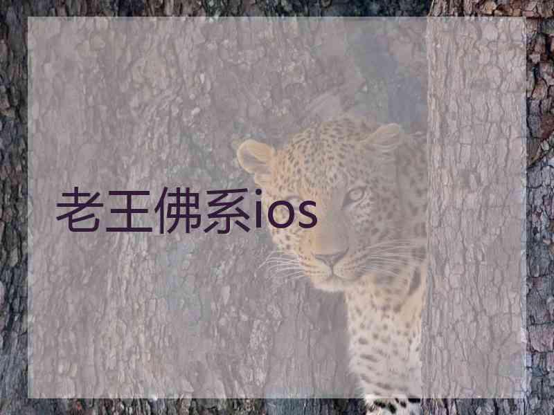 老王佛系ios