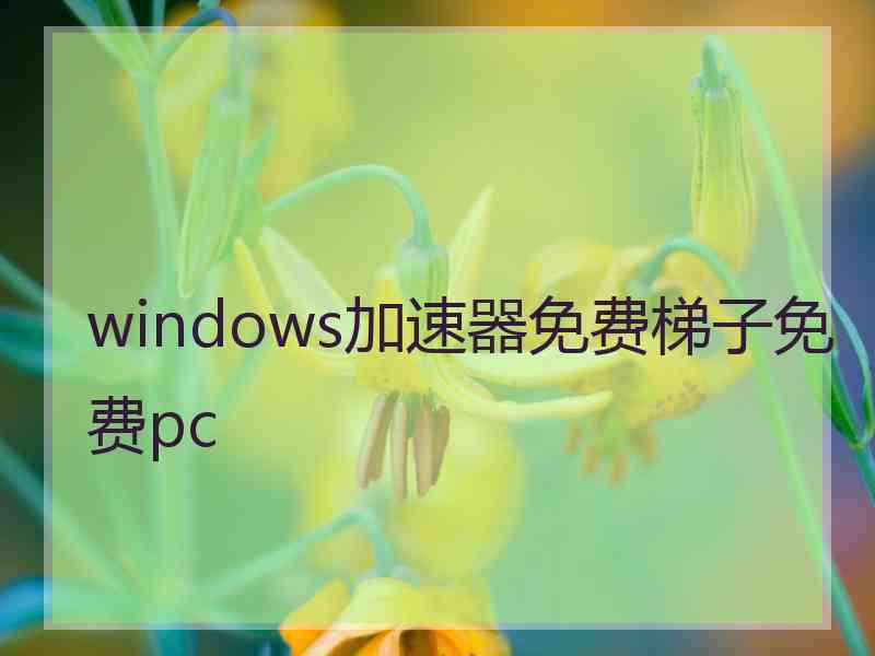 windows加速器免费梯子免费pc