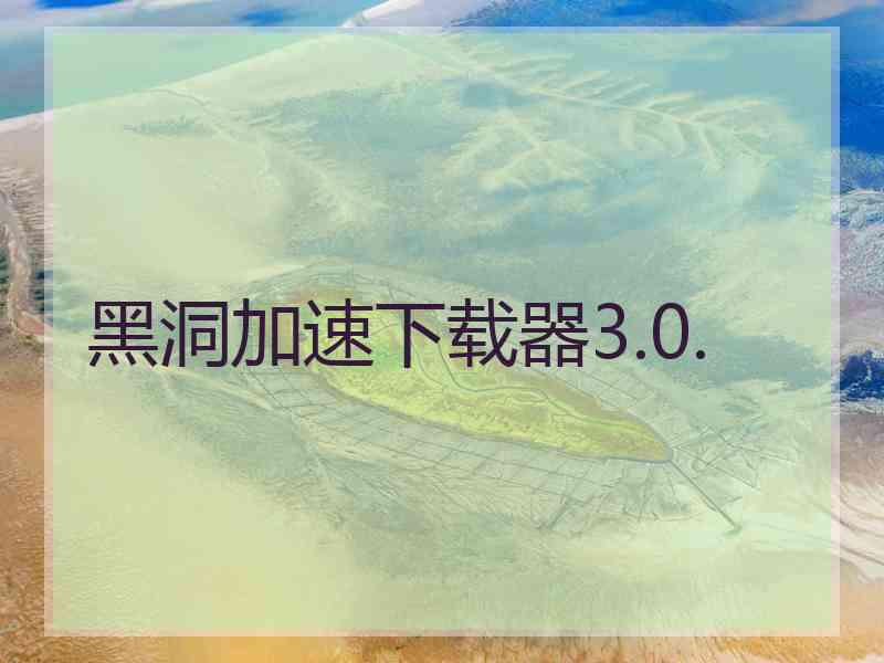 黑洞加速下载器3.0.