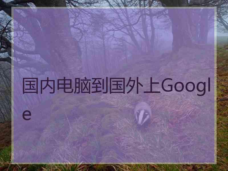 国内电脑到国外上Google