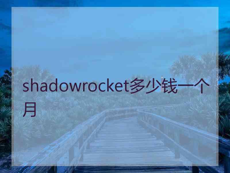 shadowrocket多少钱一个月