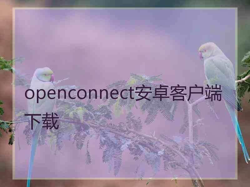 openconnect安卓客户端下载