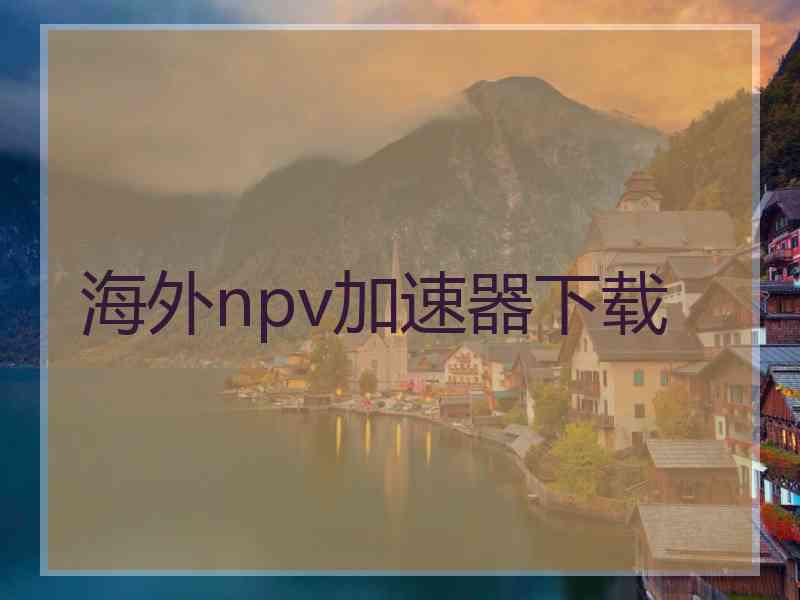 海外npv加速器下载