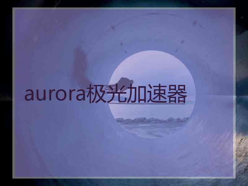 aurora极光加速器