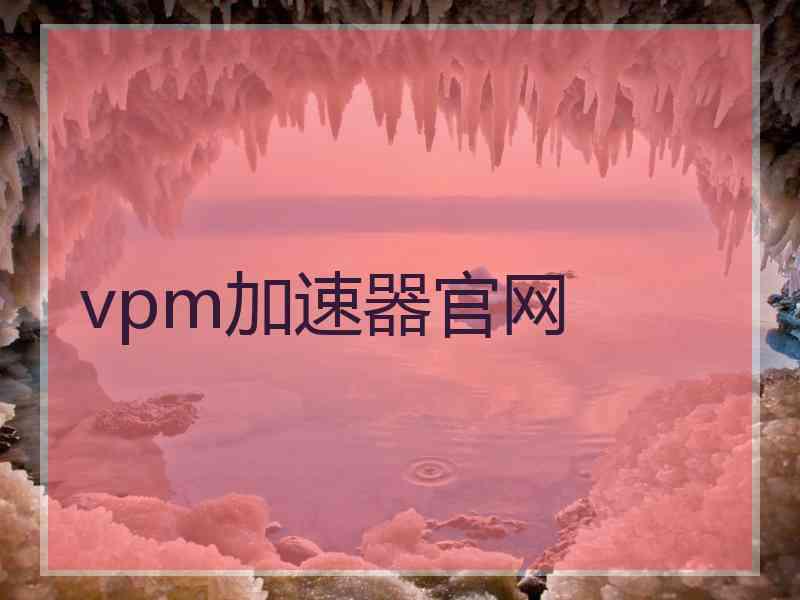 vpm加速器官网