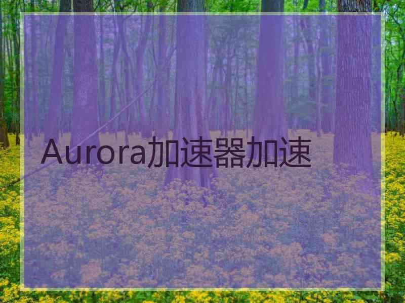 Aurora加速器加速