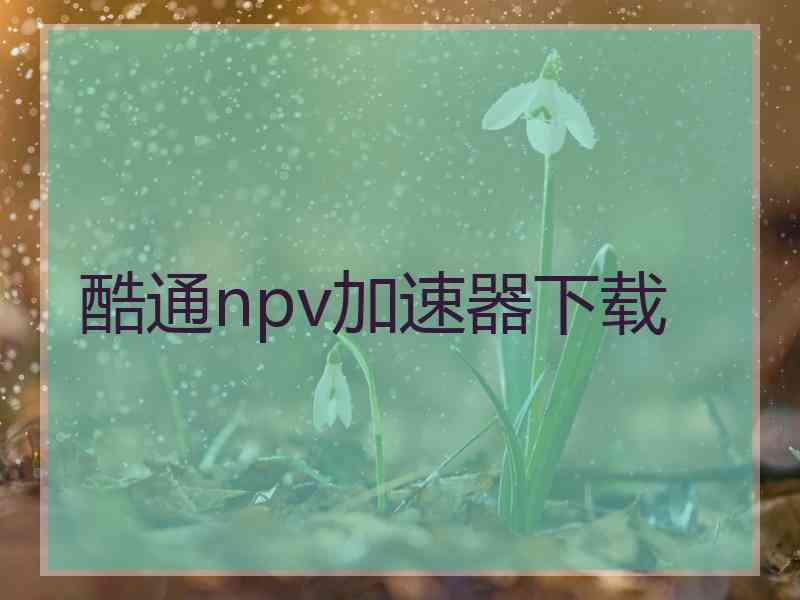 酷通npv加速器下载