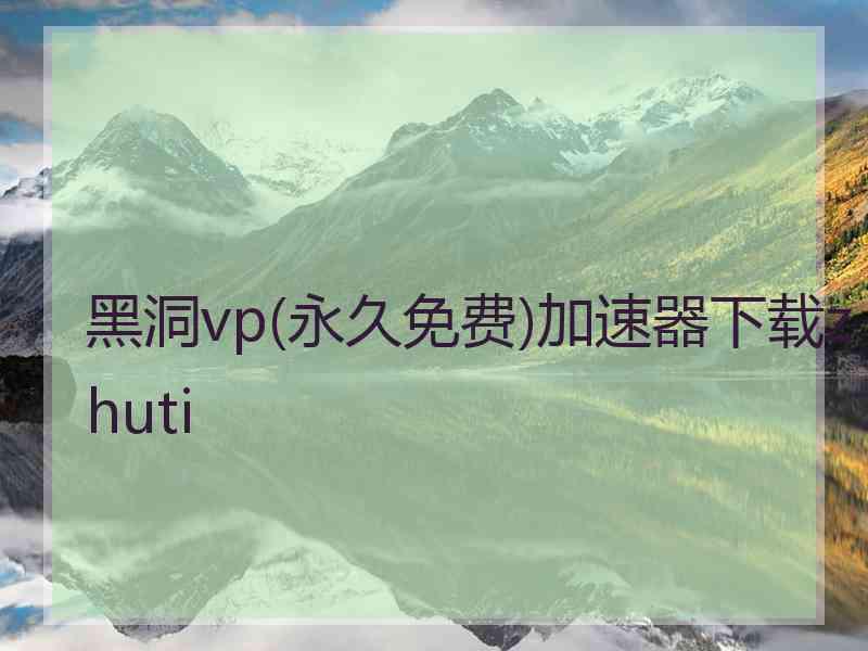 黑洞vp(永久免费)加速器下载zhuti