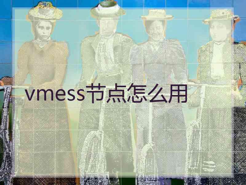 vmess节点怎么用