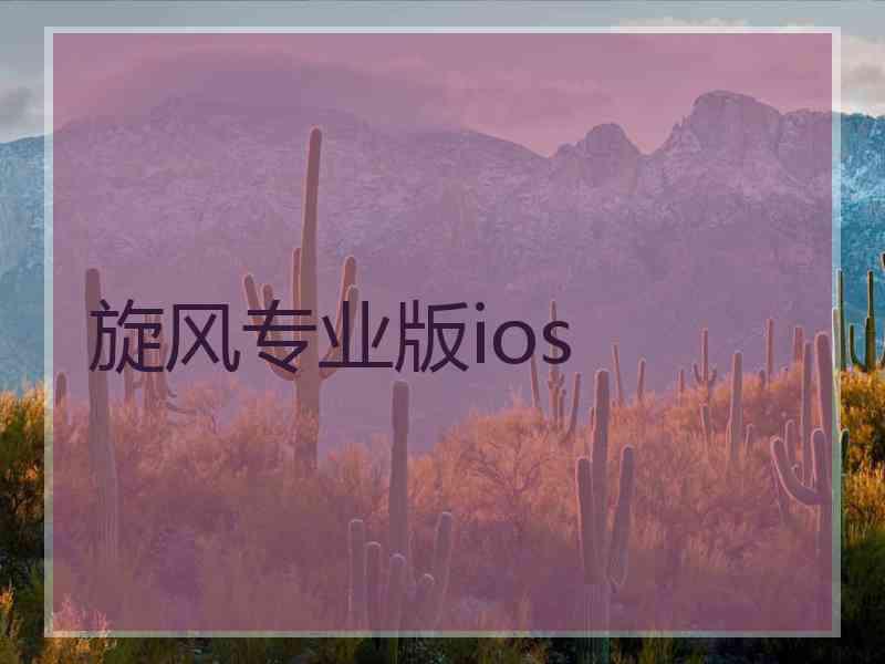 旋风专业版ios